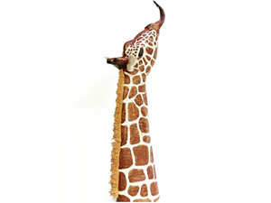 GIRAFFA - Ceramic sculpture _ Mosche Bianche